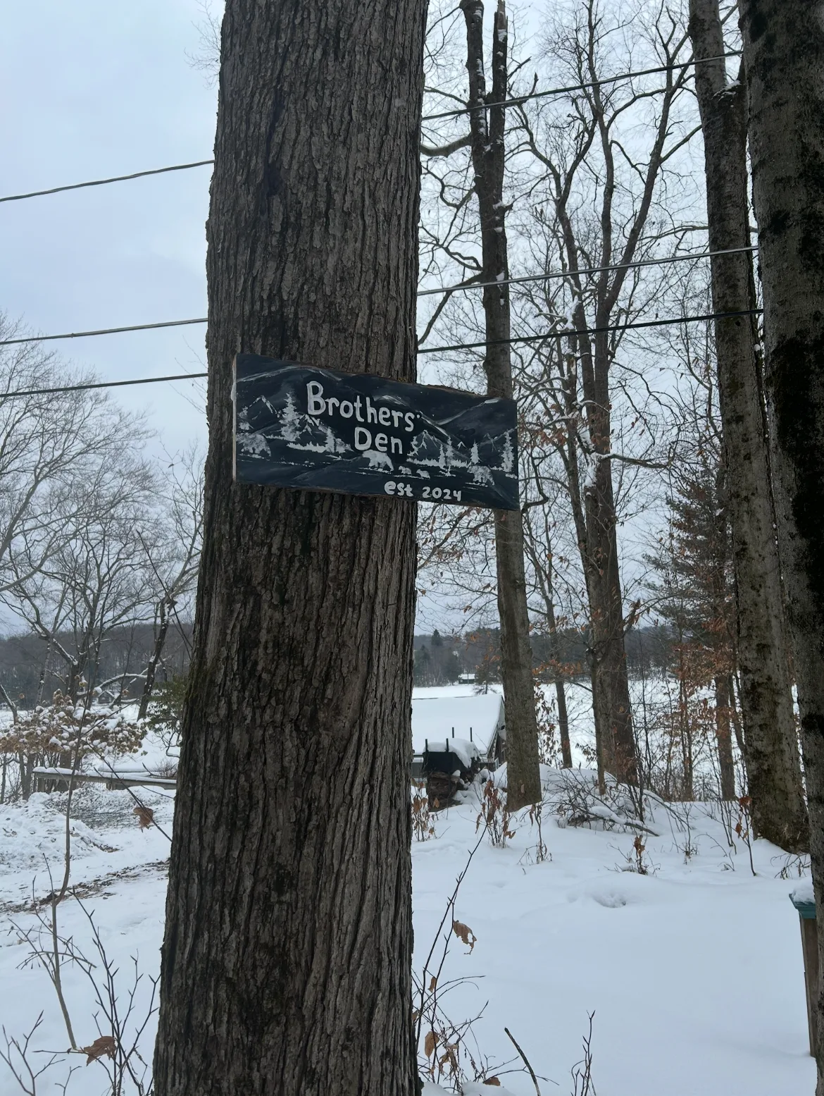 Hand-painted Brothers Den sign on a tree above the snowy, frozen lake