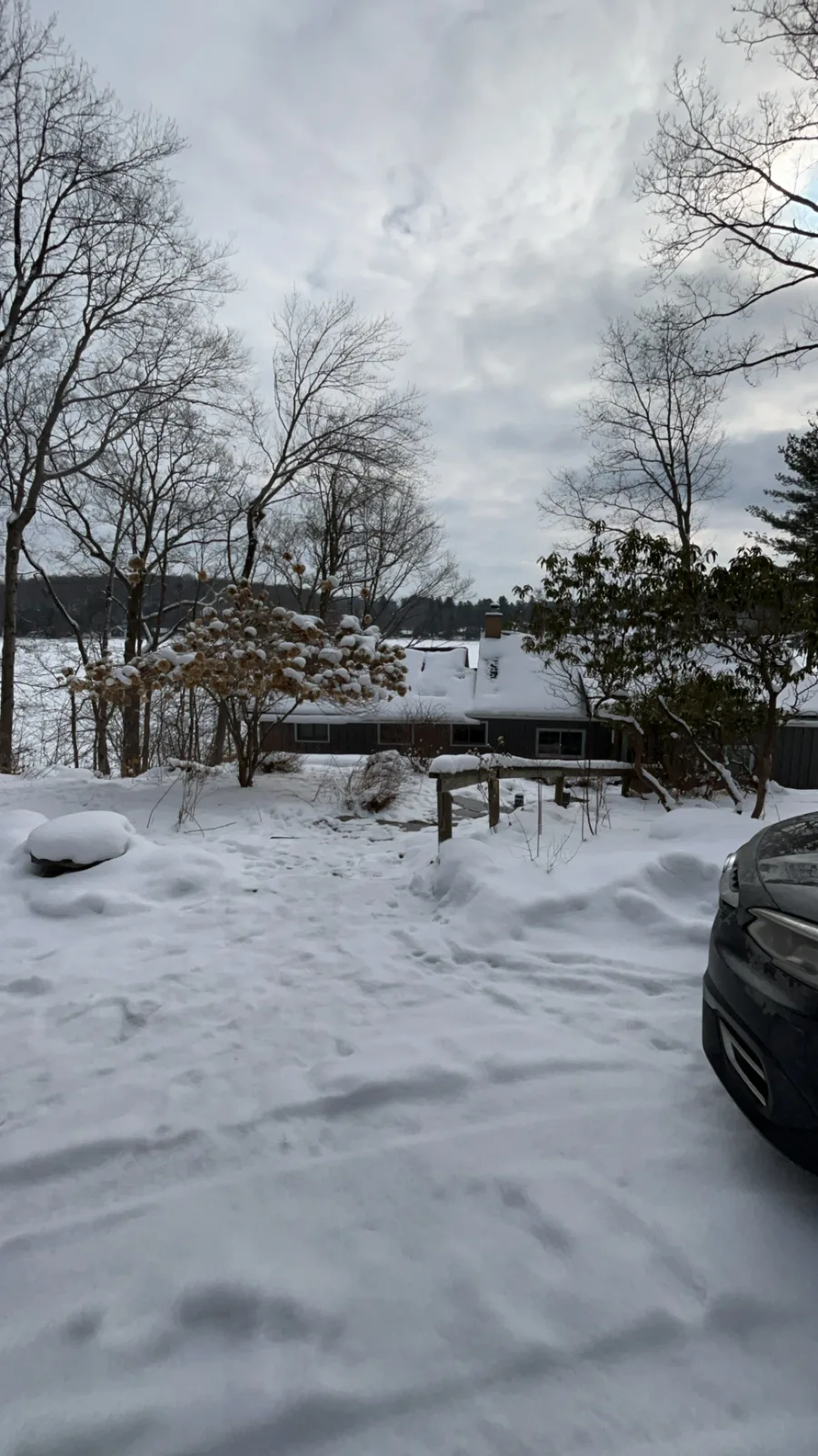 Plowed, snow-covered driveway leading down to Shehawken Lake Cabin